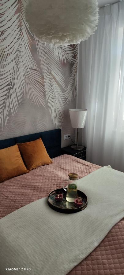 Apartment Apartament Blekitna Fantazja *