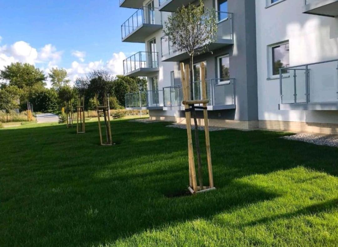 Apartment Apartament Blekitna Fantazja *